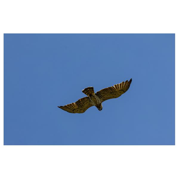 PHOTO84, CLUB, 84 , LUBERON